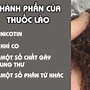 Hiệu Thuốc Lào Cai