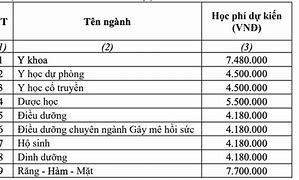 Học Phí Đh Y Dược Tphcm 2024