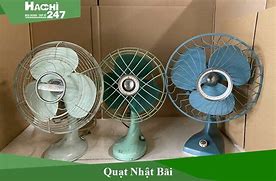 Quạt Nhật Bãi Hải Phòng